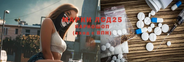 индика Бородино