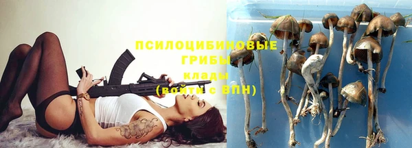 мдпв Верхний Тагил