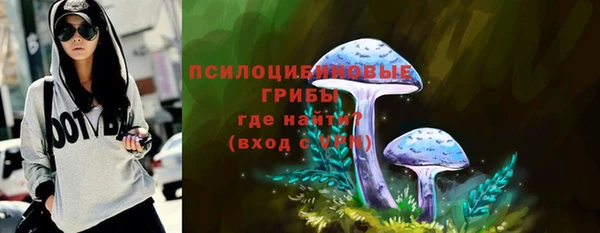соль ск Верея