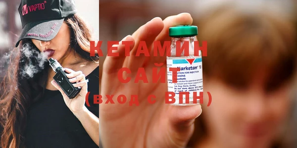 индика Бородино