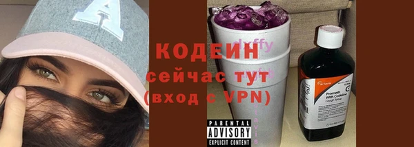 индика Бородино