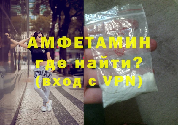 индика Бородино