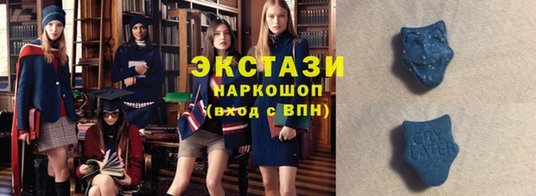 индика Бородино