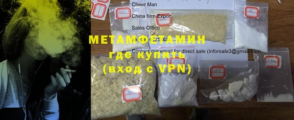 индика Бородино