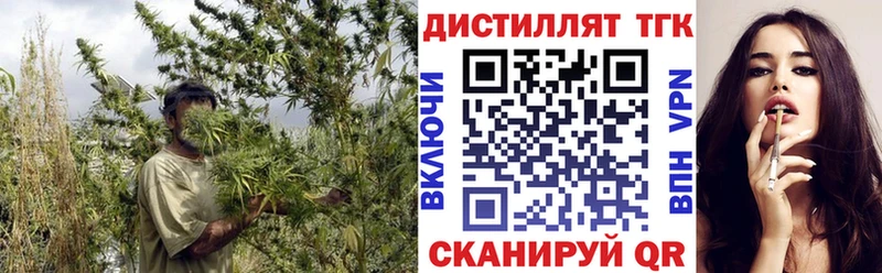 Дистиллят ТГК гашишное масло  Гатчина 
